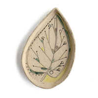 Leaf Anatomy Dish 4