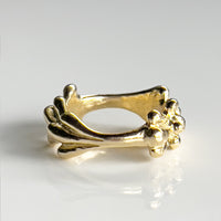 Catkin Pinky Ring - Gold