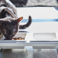 Pet Food Bowl - Steel + Ceramic