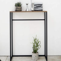 Narrow Entryway Console Table (32" H) - Steel