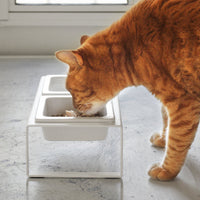 Pet Food Bowl - Tall - Steel + Ceramic