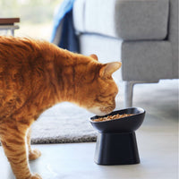 Tilted Pet Food Bowl