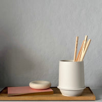 Blush Jotters with Gold edging (set of 2)