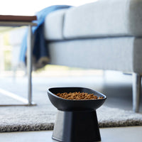 Tilted Pet Food Bowl
