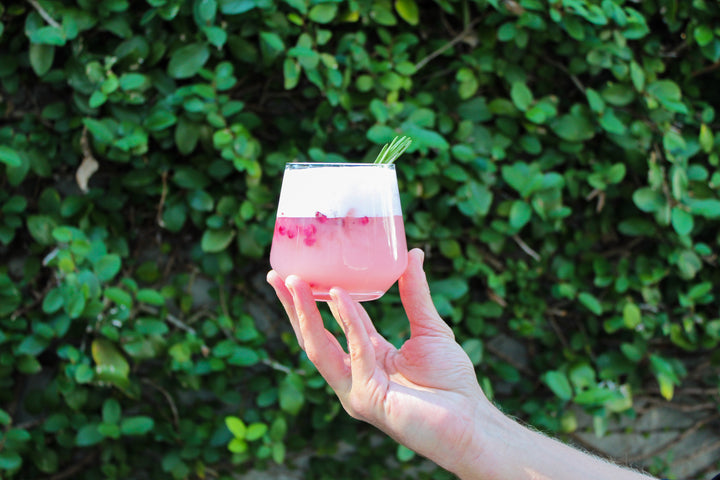 Pomegranate Gin Fizz