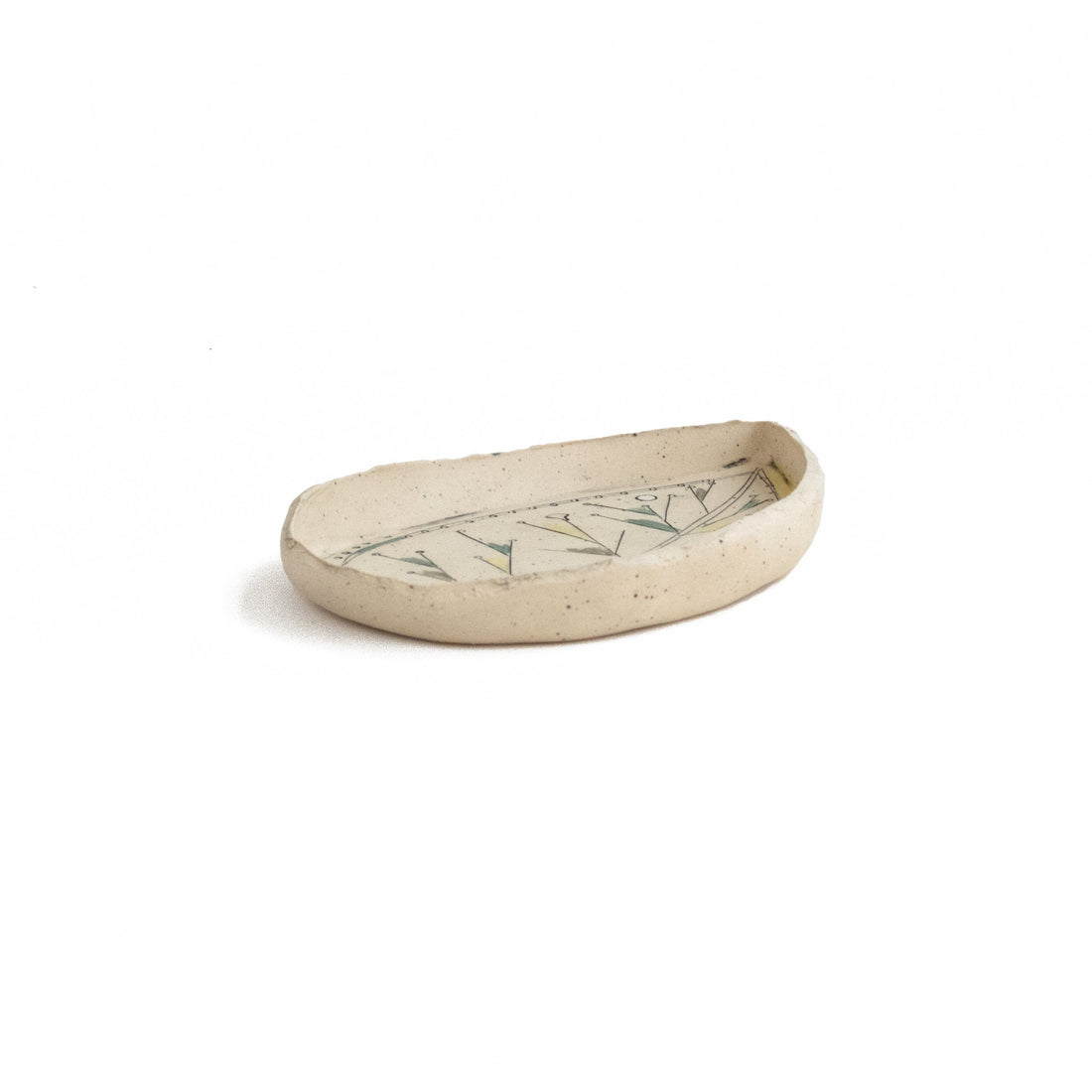 Leaf Anatomy Dish 4