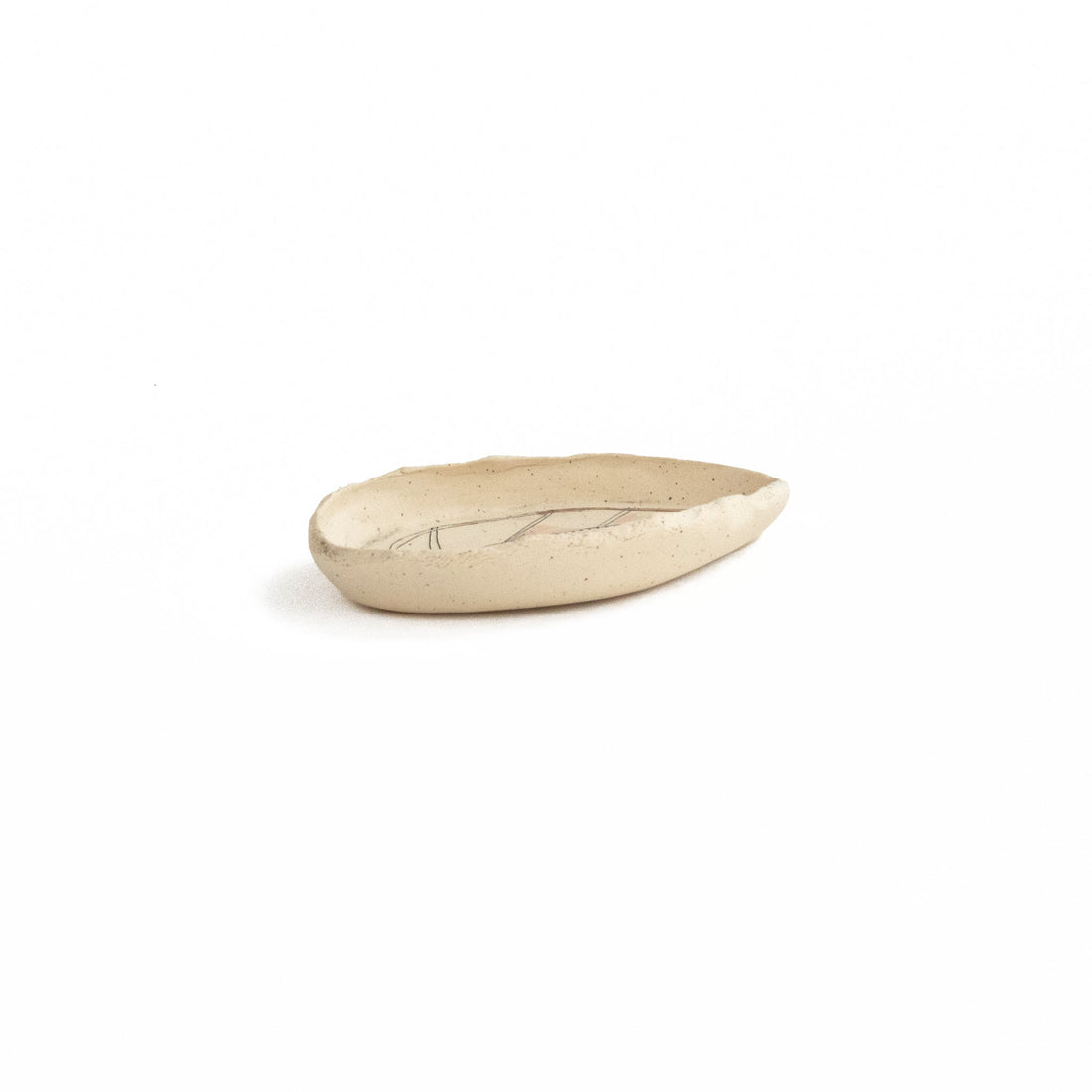 Leaf Anatomy Small Dish 2
