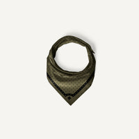 F+S Bandana