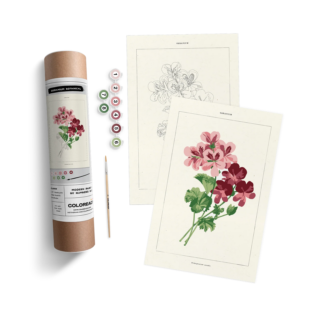 GERANIUM BOTANICAL KIT