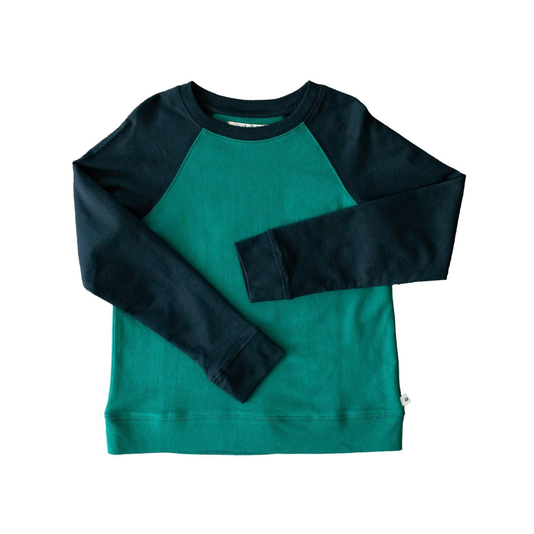 Organic Stevie Raglan Sweatshirt Colorblock
