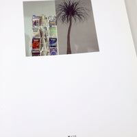 Likes By Andy Spade
