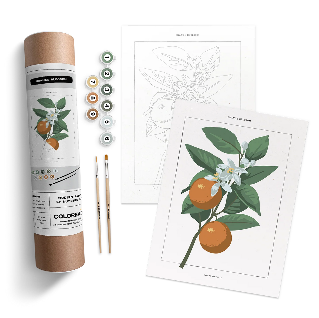 ORANGE BLOSSOM BOTANICAL