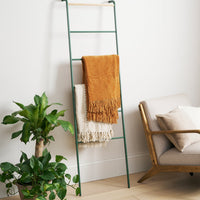 Leaning Storage Ladder (63" H)  - Steel