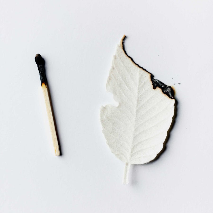 Paper Leaves Incense Box Set