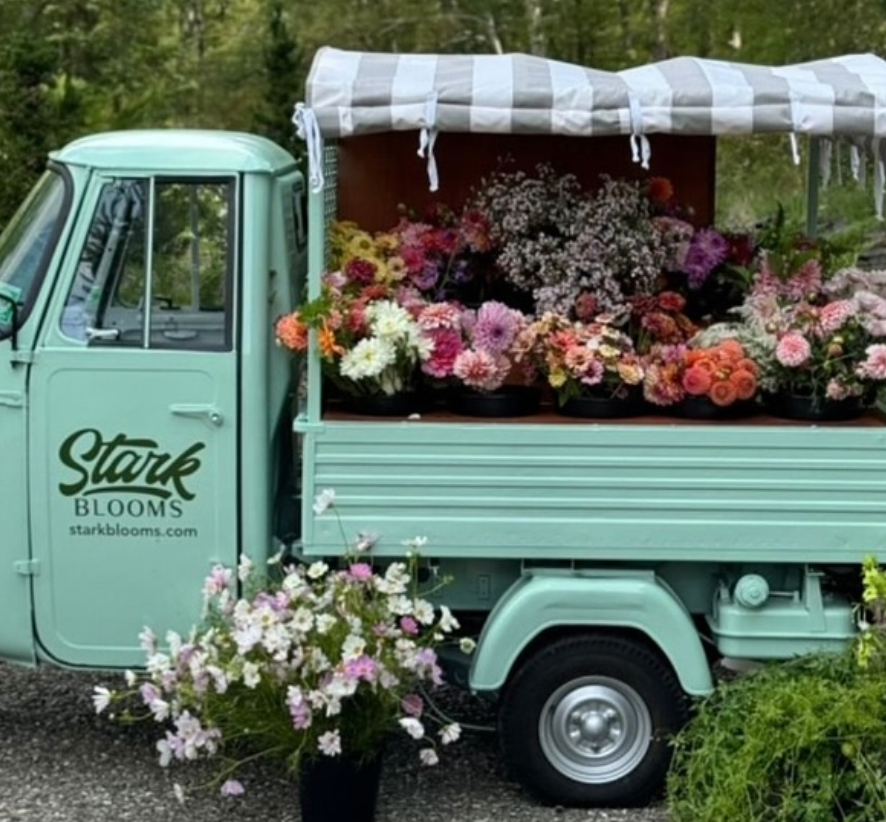Stark Blooms