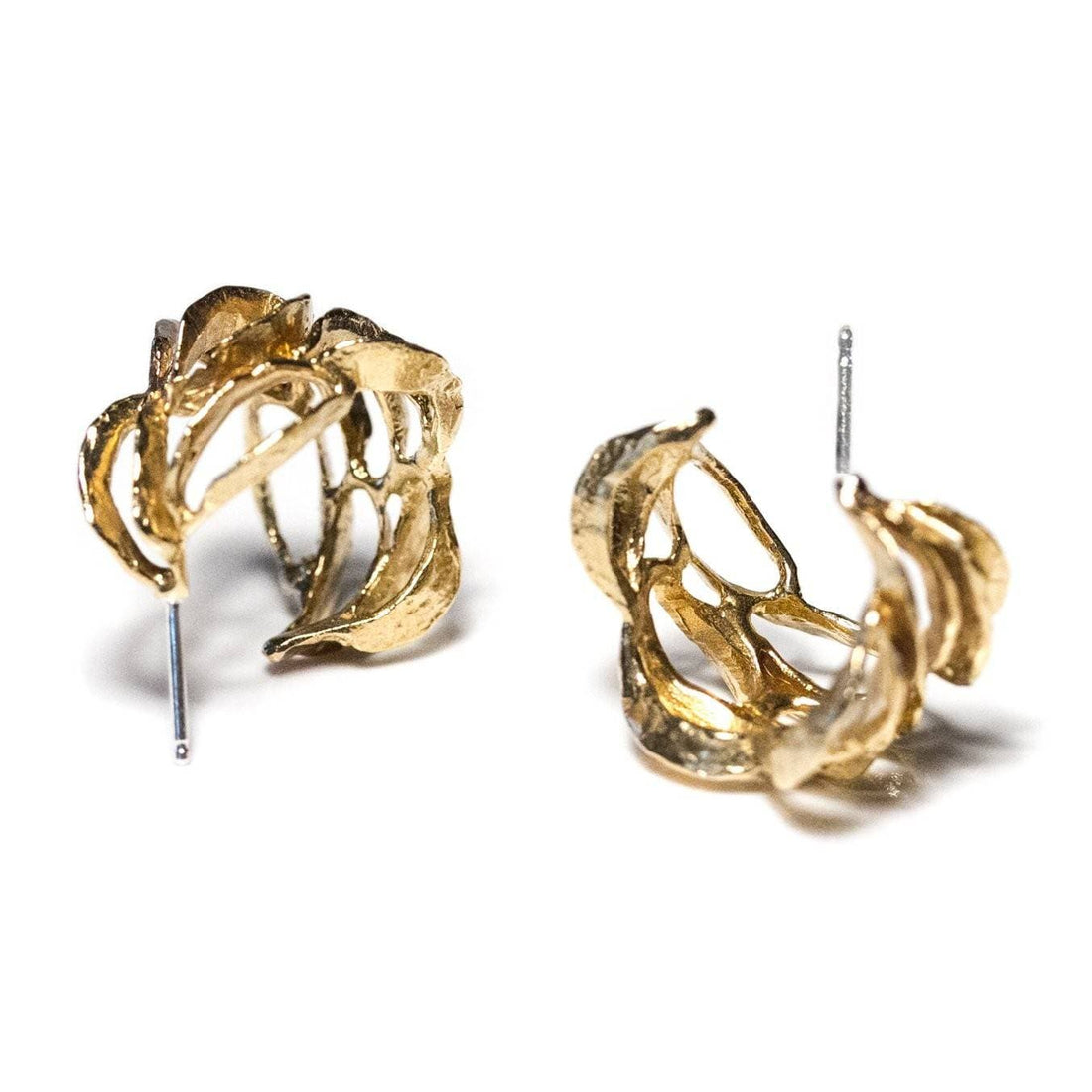 Banksia Hoop Earrings - Yellow Bronze