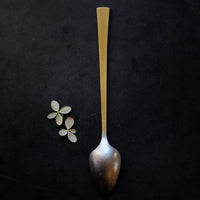 Brass and Tin Tea Spoon