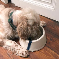 Finn XL Porcelain Dog Bowl