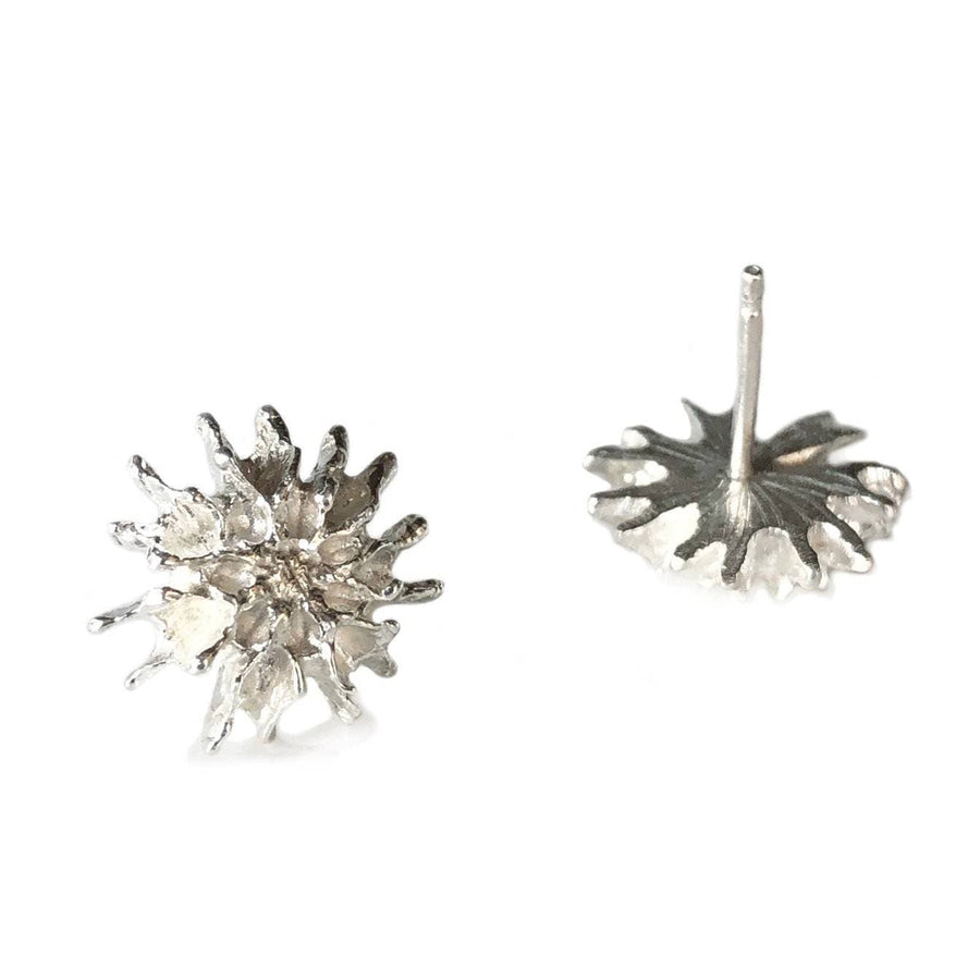 Star Pod Earrings - Silver