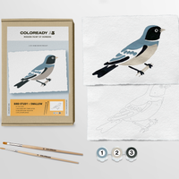 Bird Study - Swallow