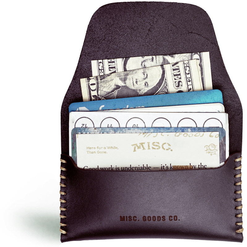 Travel Wallet