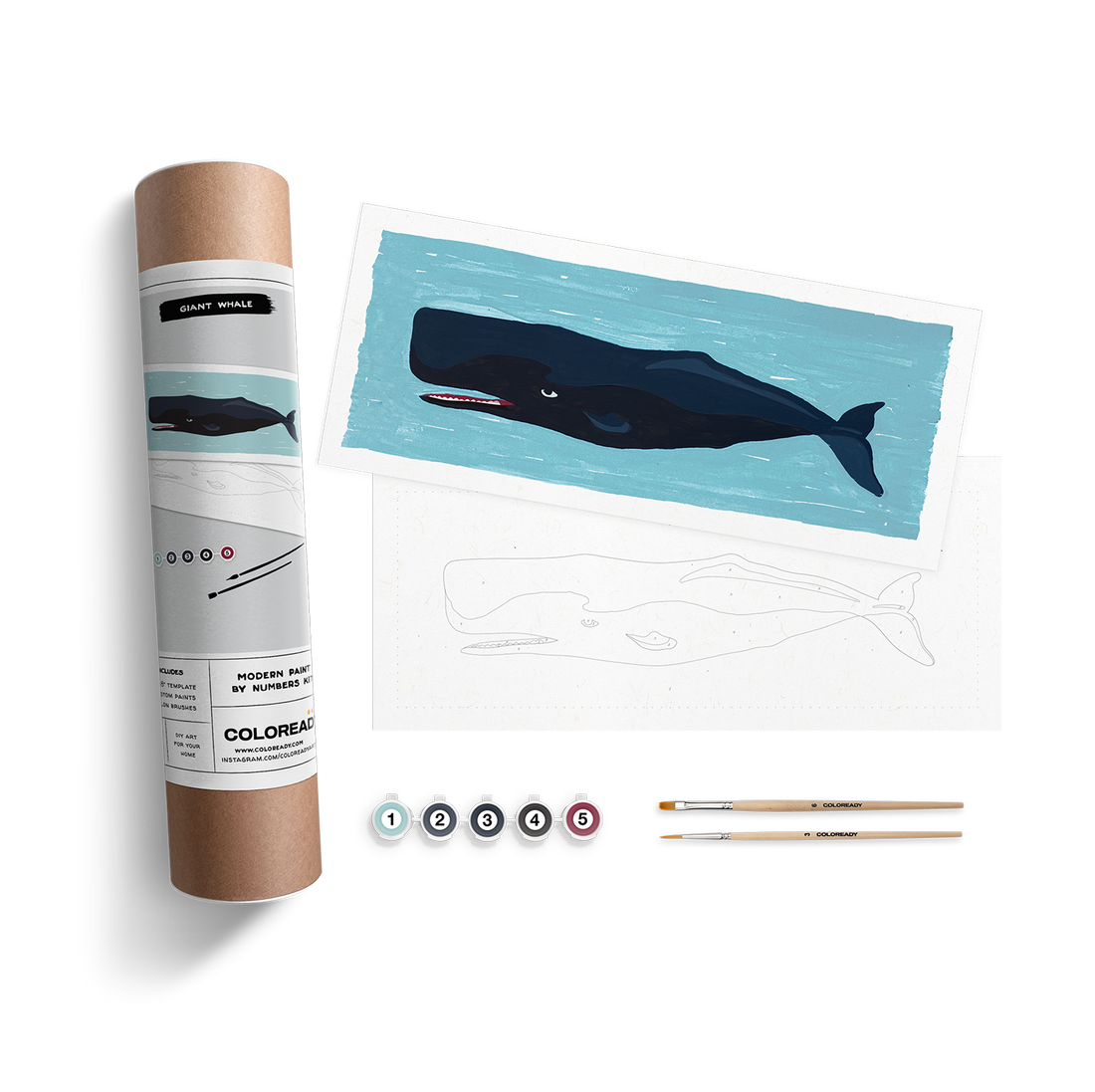 Giant Whale Kit